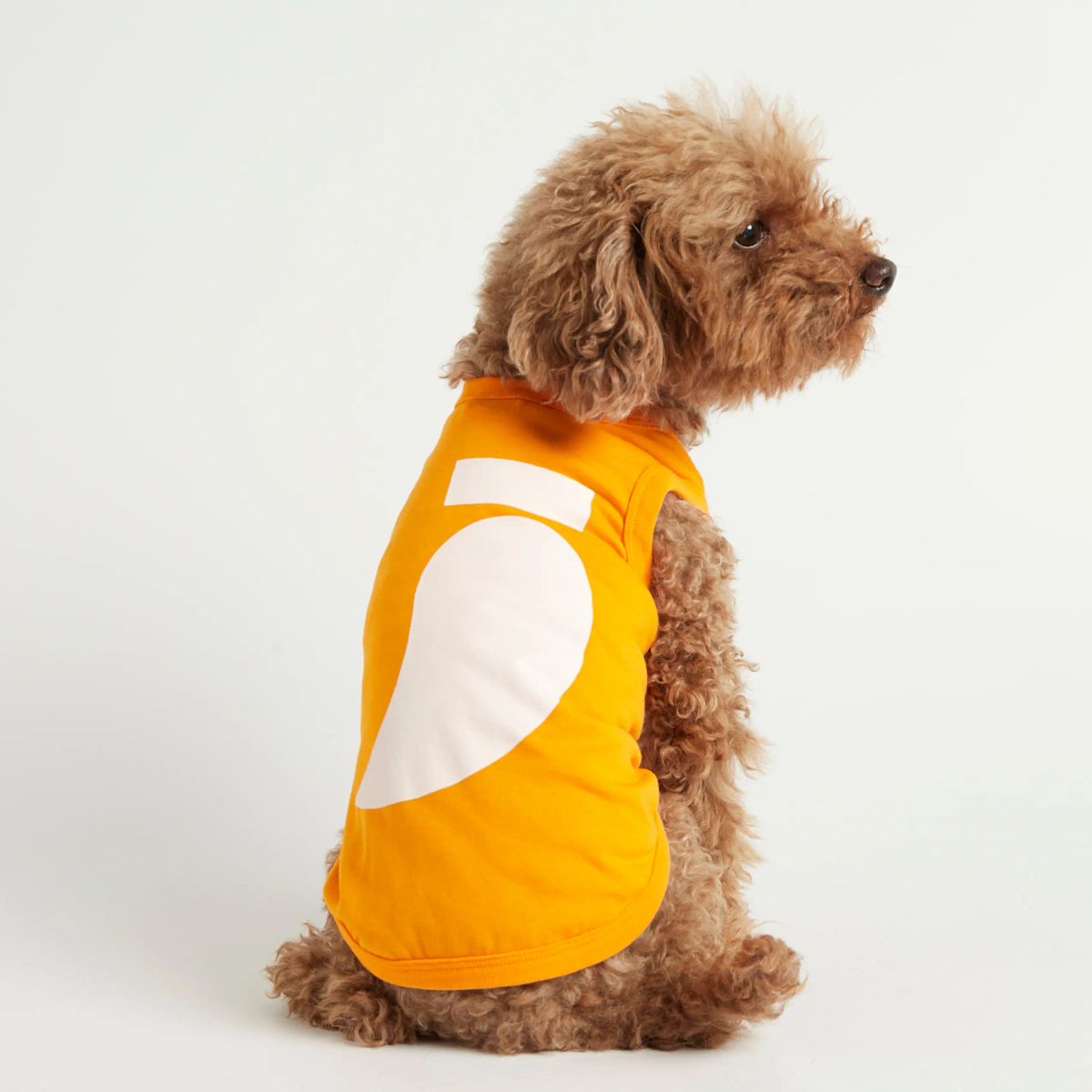 Imi Bodysuit // Hundetrøje i økologisk bomuld (orange) - L