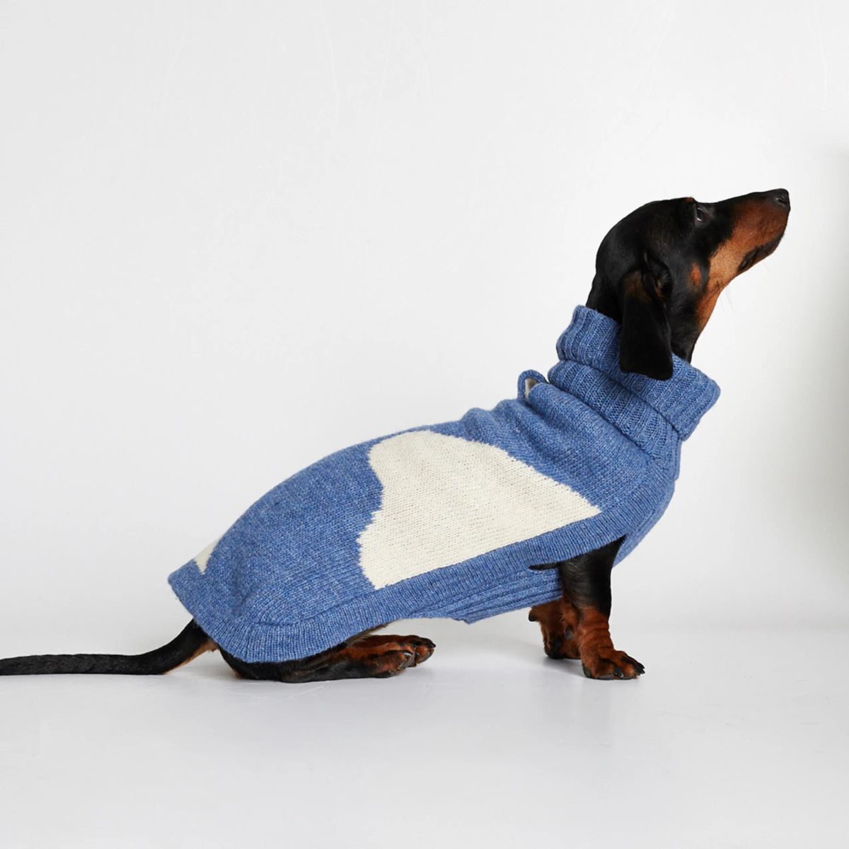 Rene Sweater // Hundesweater med adgang til sele (blå) - S