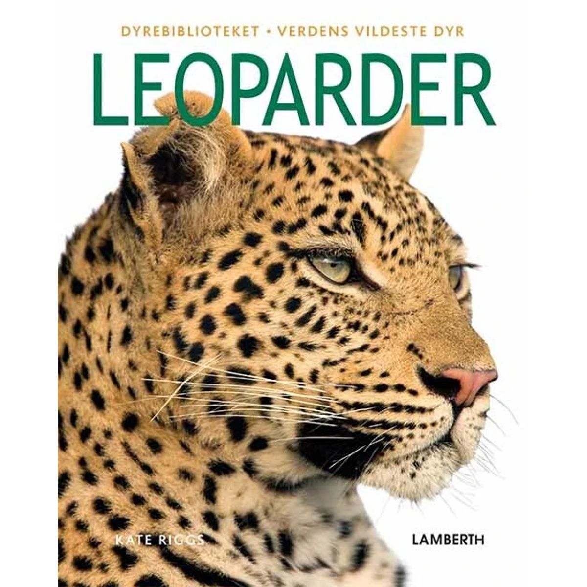 Leoparder