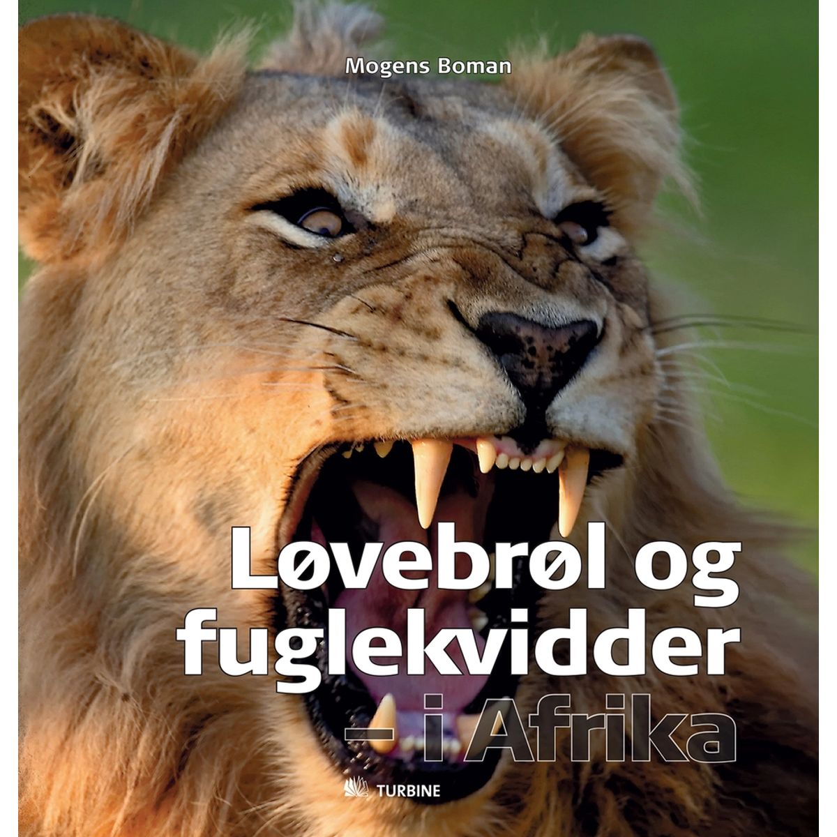 Løvebrøl og fuglekvidder - i Afrika