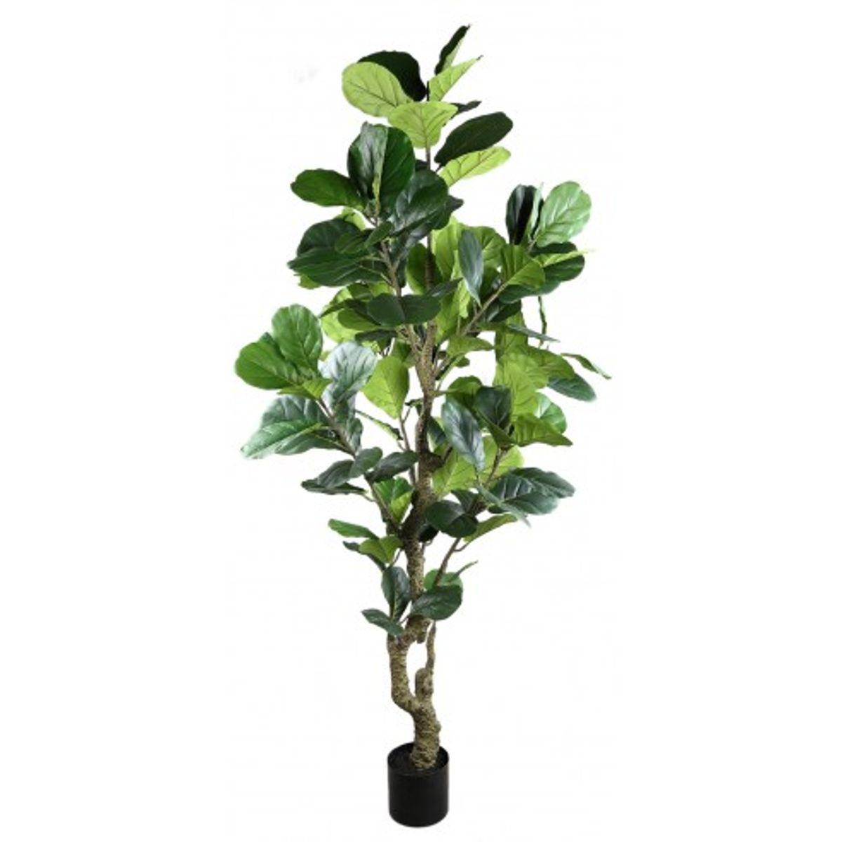 Kunstig ficus H220 cm - Grøn