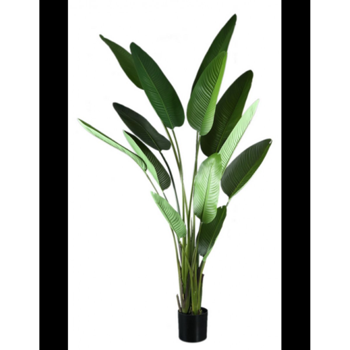 Kunstig strelitzia palme H235 cm - Grøn