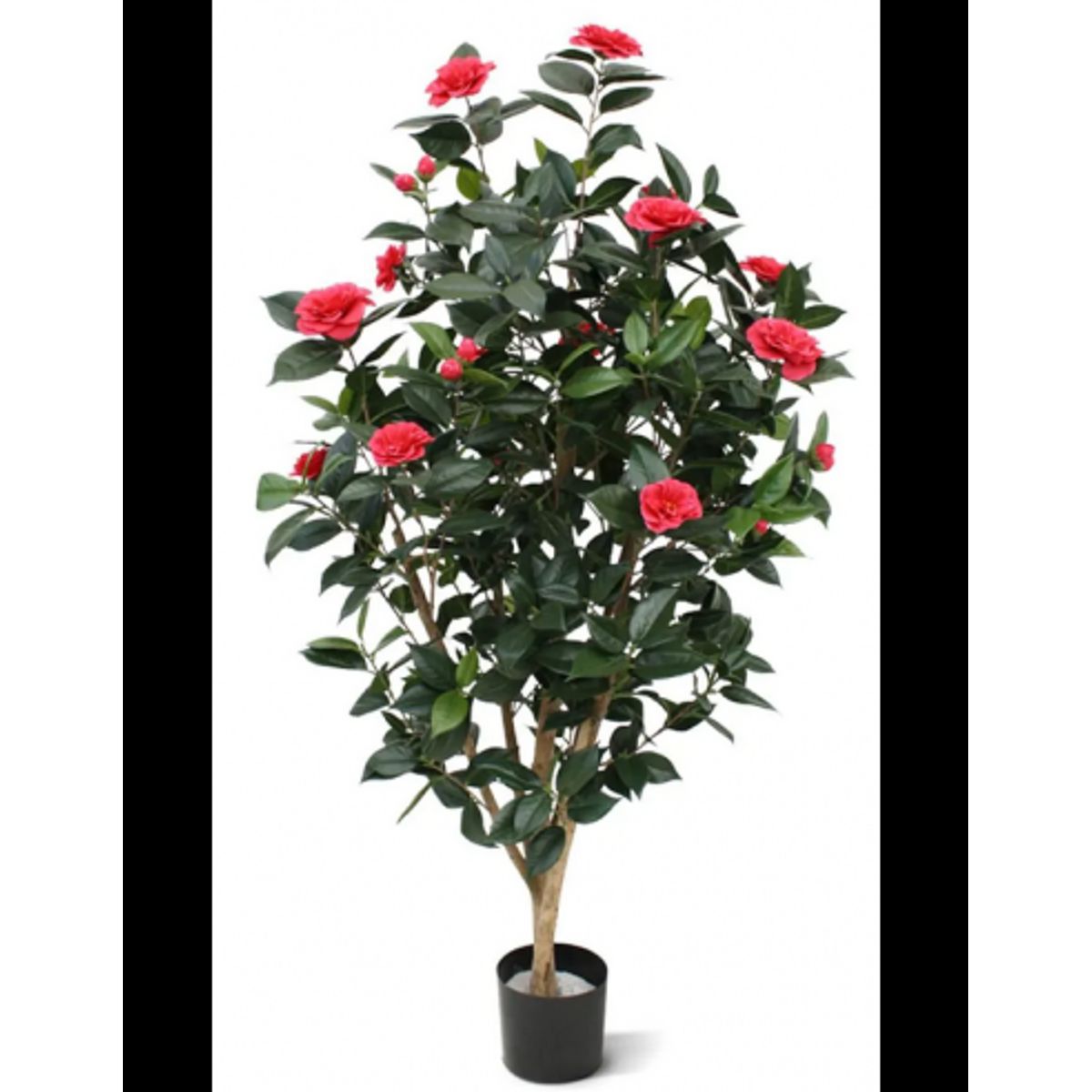 Stor kunstig Camelia Japonica plante H150 cm - Grøn/Rosa