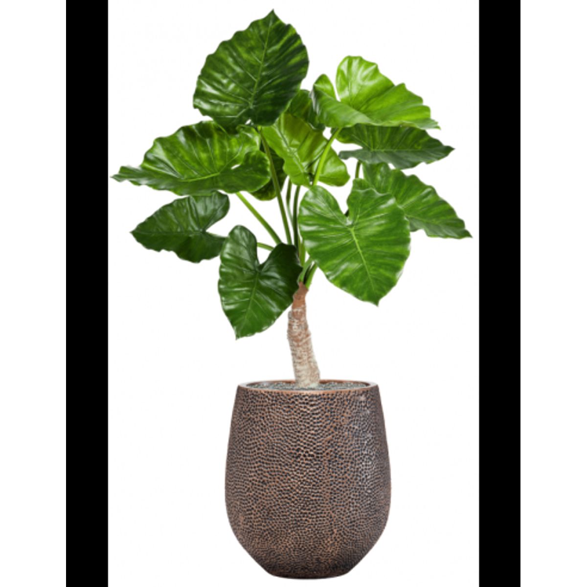 Sammenplantning med krukke og kunstig Alocasia Calidora plante H120 cm