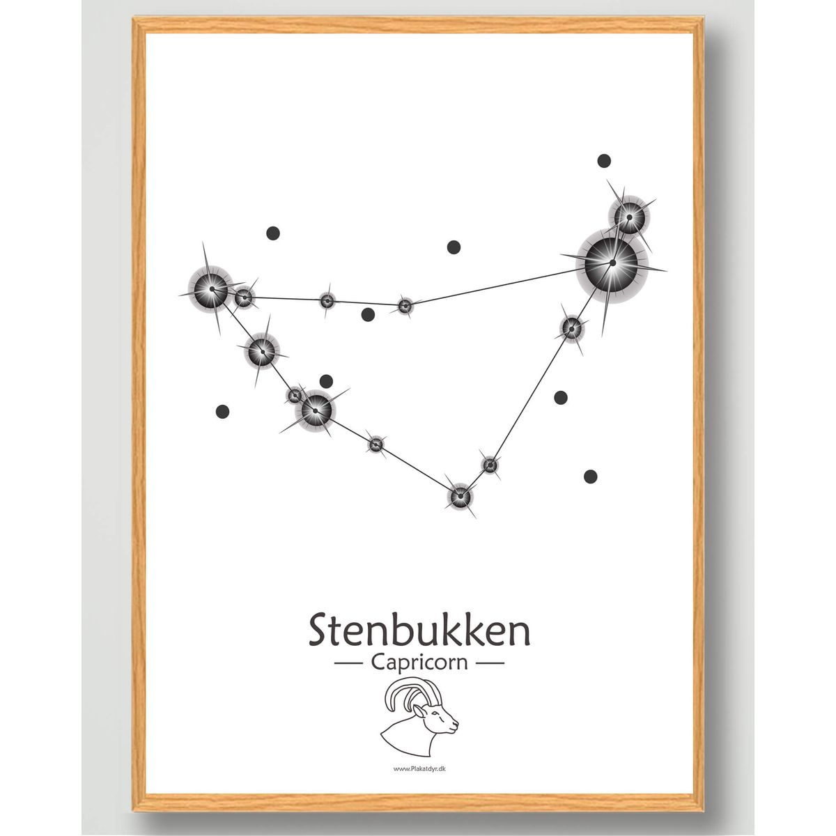 Stjernebillede stenbukken (hvid) - plakat (Størrelse: M - 30x40cm)