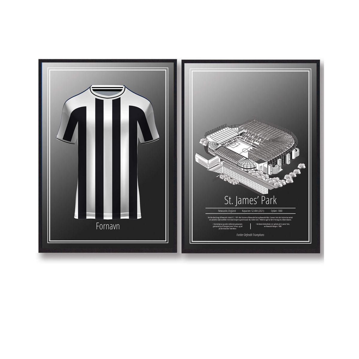 Newcastle - Trøje og Stadion plakatsæt (Størrelse: L - 50x70cm (B2))