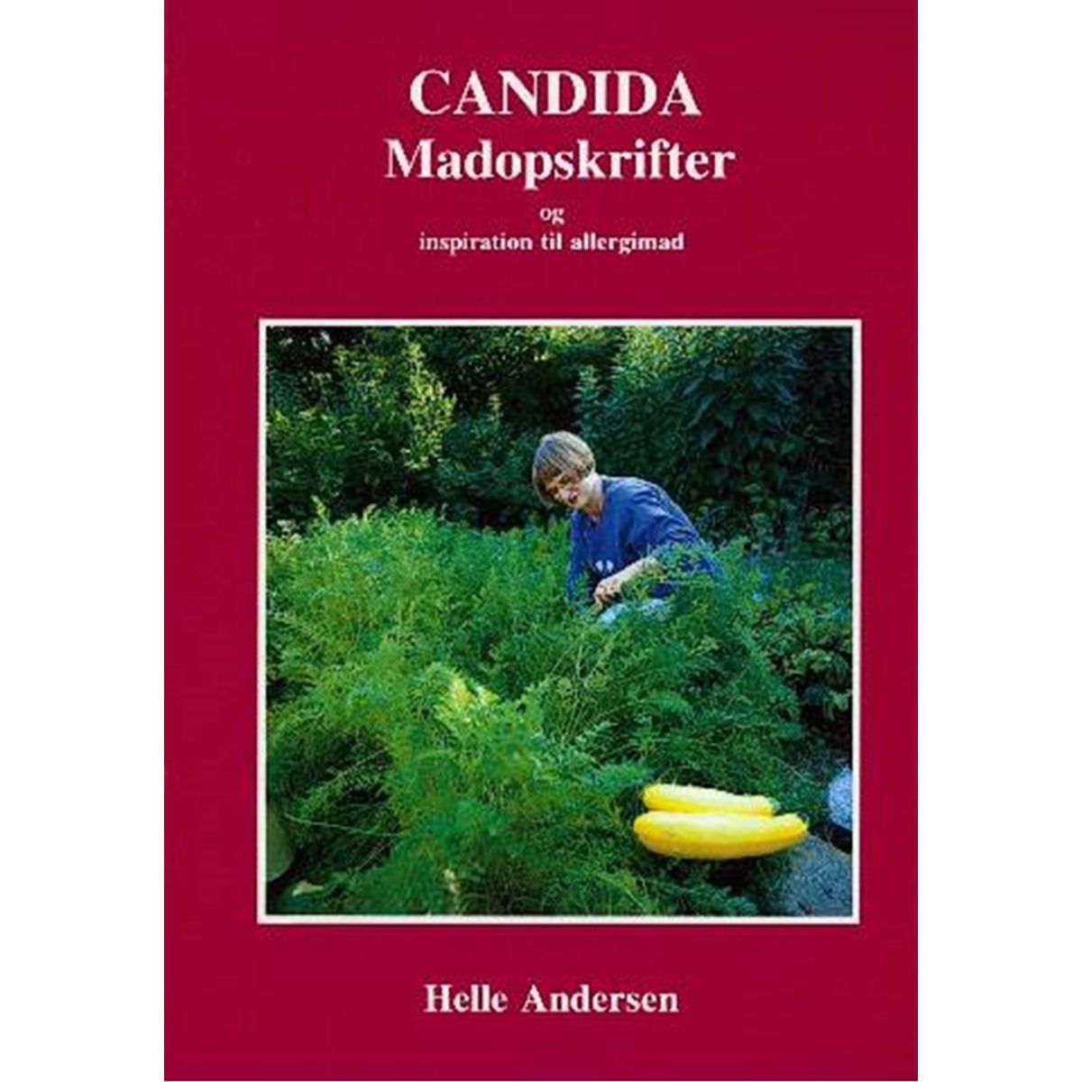 Candida madopskrifter og inspiration til allergimad