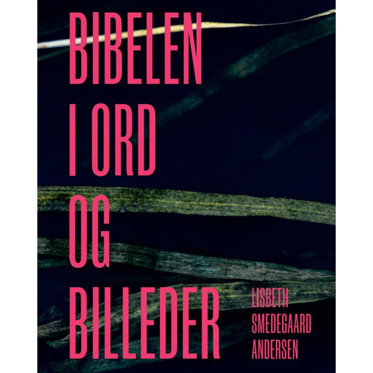 Bibelen i ord og billeder