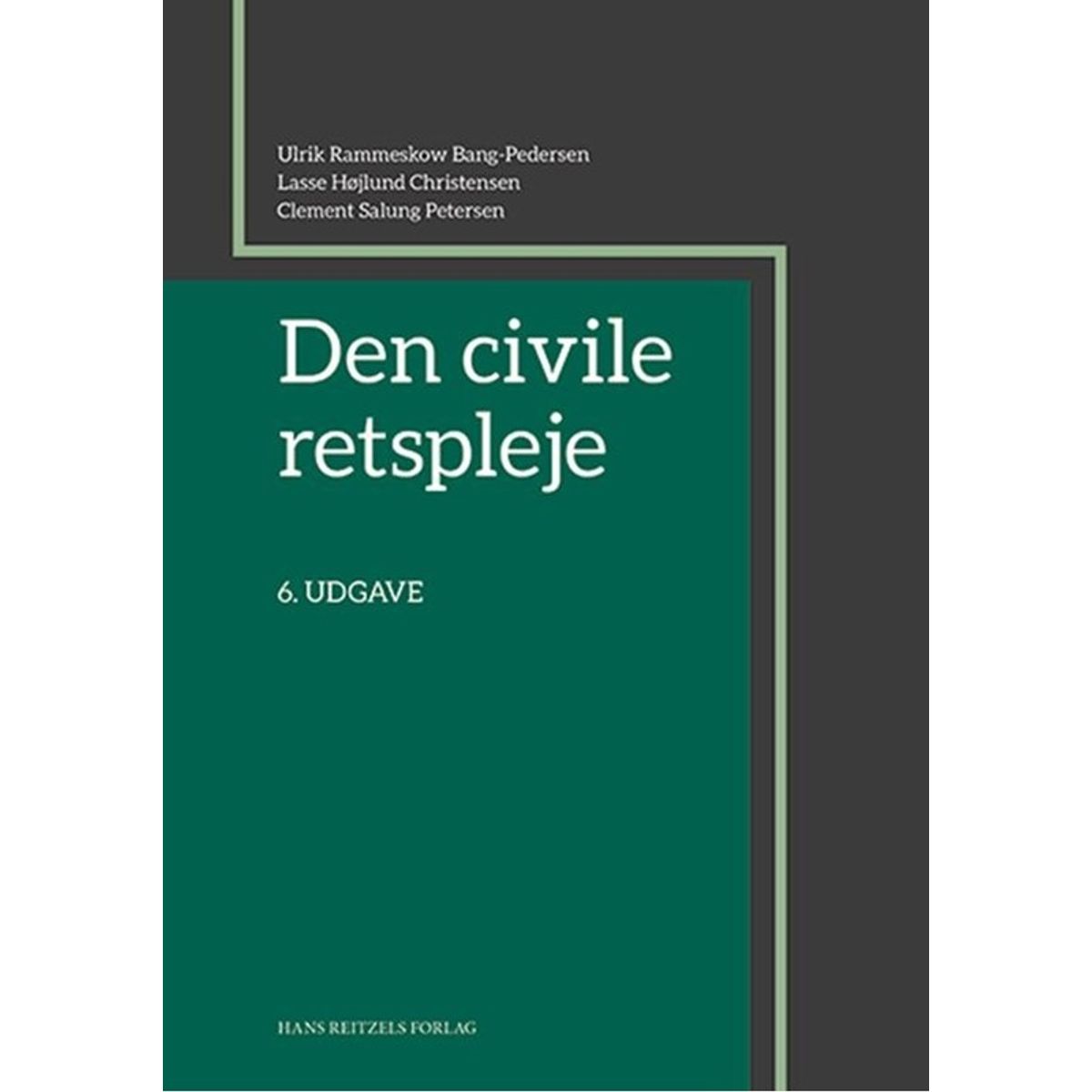 Den civile retspleje