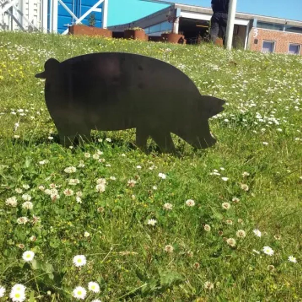 Gris i cortenstål